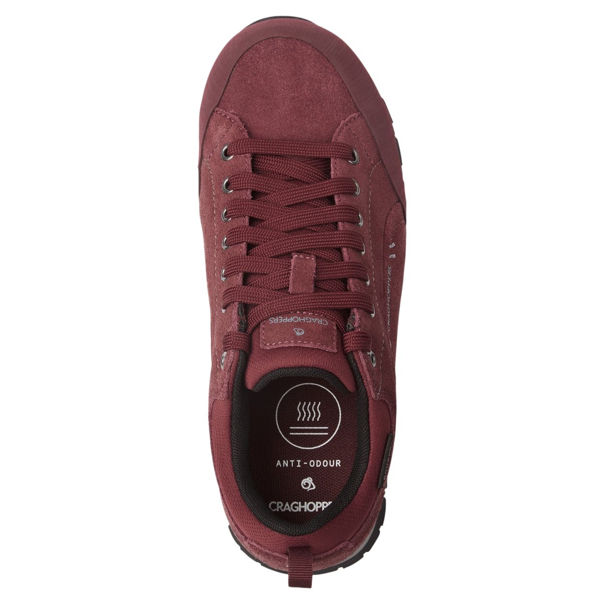 Baskets en cuir JACARA violet, CRAGHOPPERS