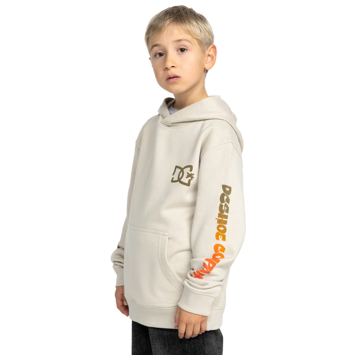 Sweat à capuche HOT BOX. gris pelican, DC SHOES