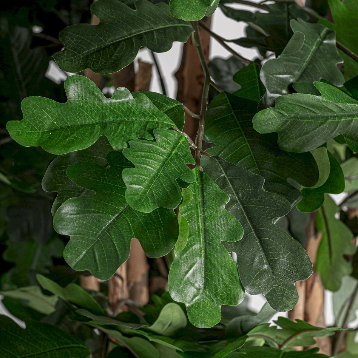 Plante artificielle chêne réaliste vert, noir et bois brun, RECOLLECTION
