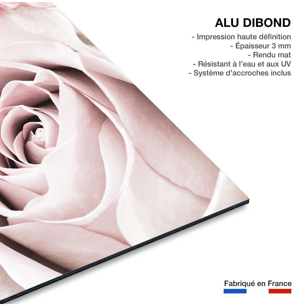 Tableau rosa romantica tableau alu dibond, HEXOA