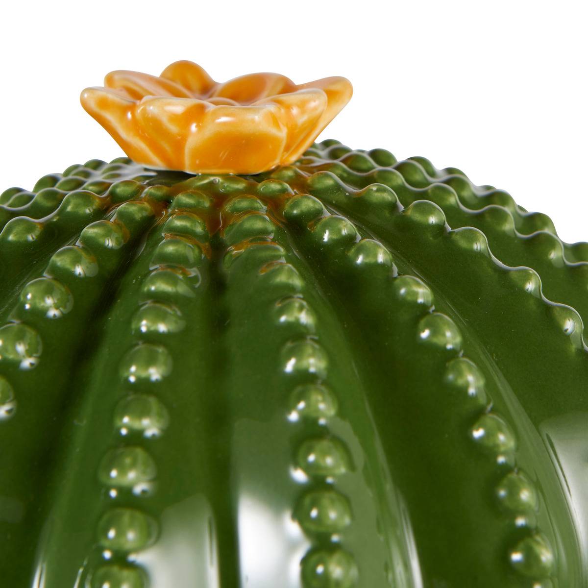 Boîte décorative YUCA vert, ATMOSPHERA