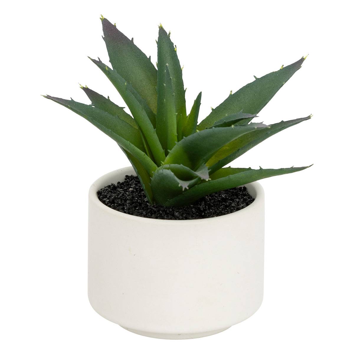 Plante grasse en pot ANDA blanc, ATMOSPHERA