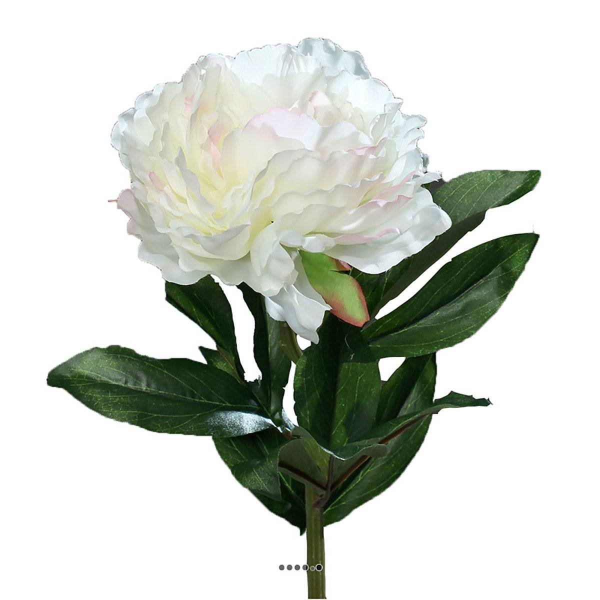 Pivoine artificielle crème Rose H 63 cm rose-crème, ARTIFICIELLES