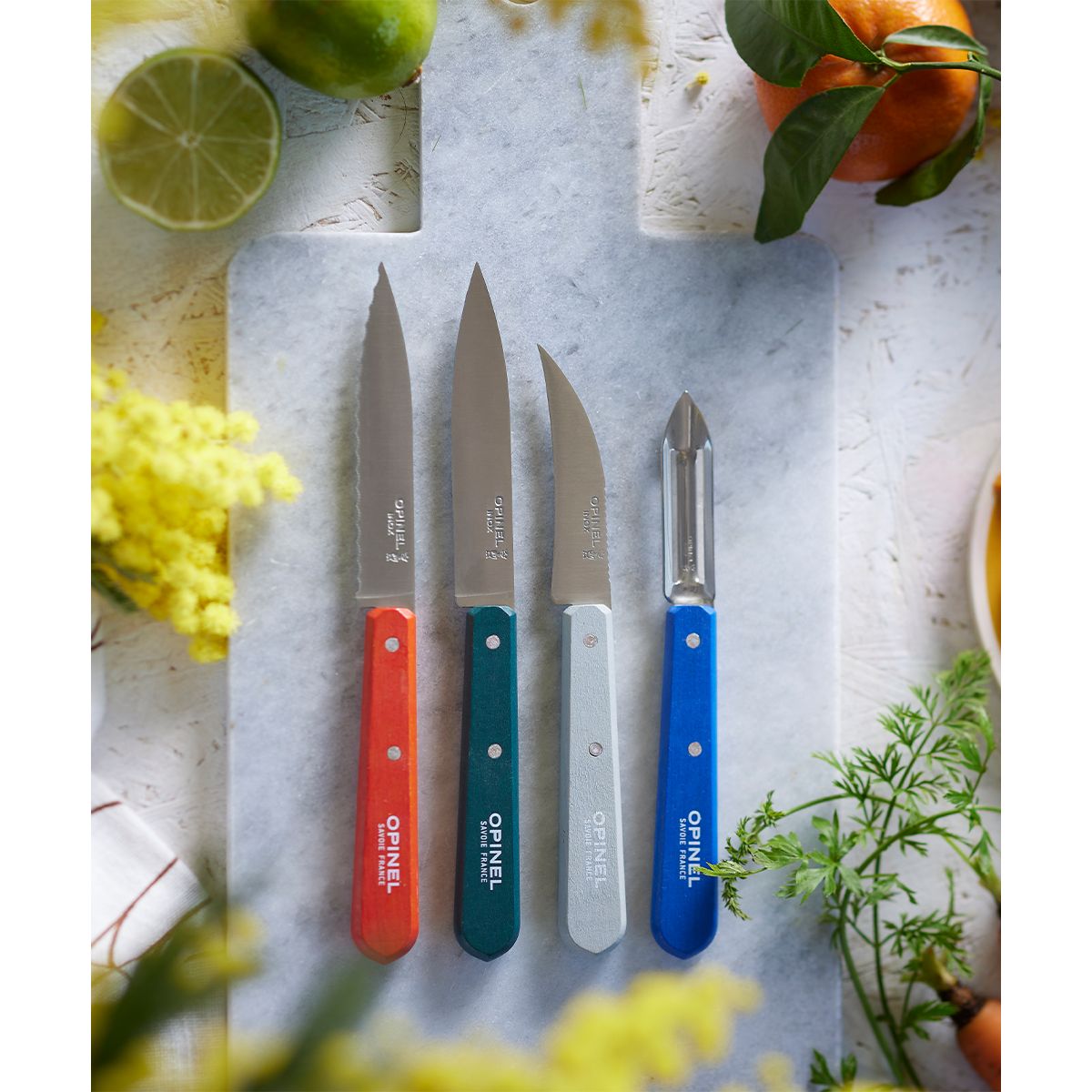 Couteau Coffret les essentiels Primo couleur unique, OPINEL