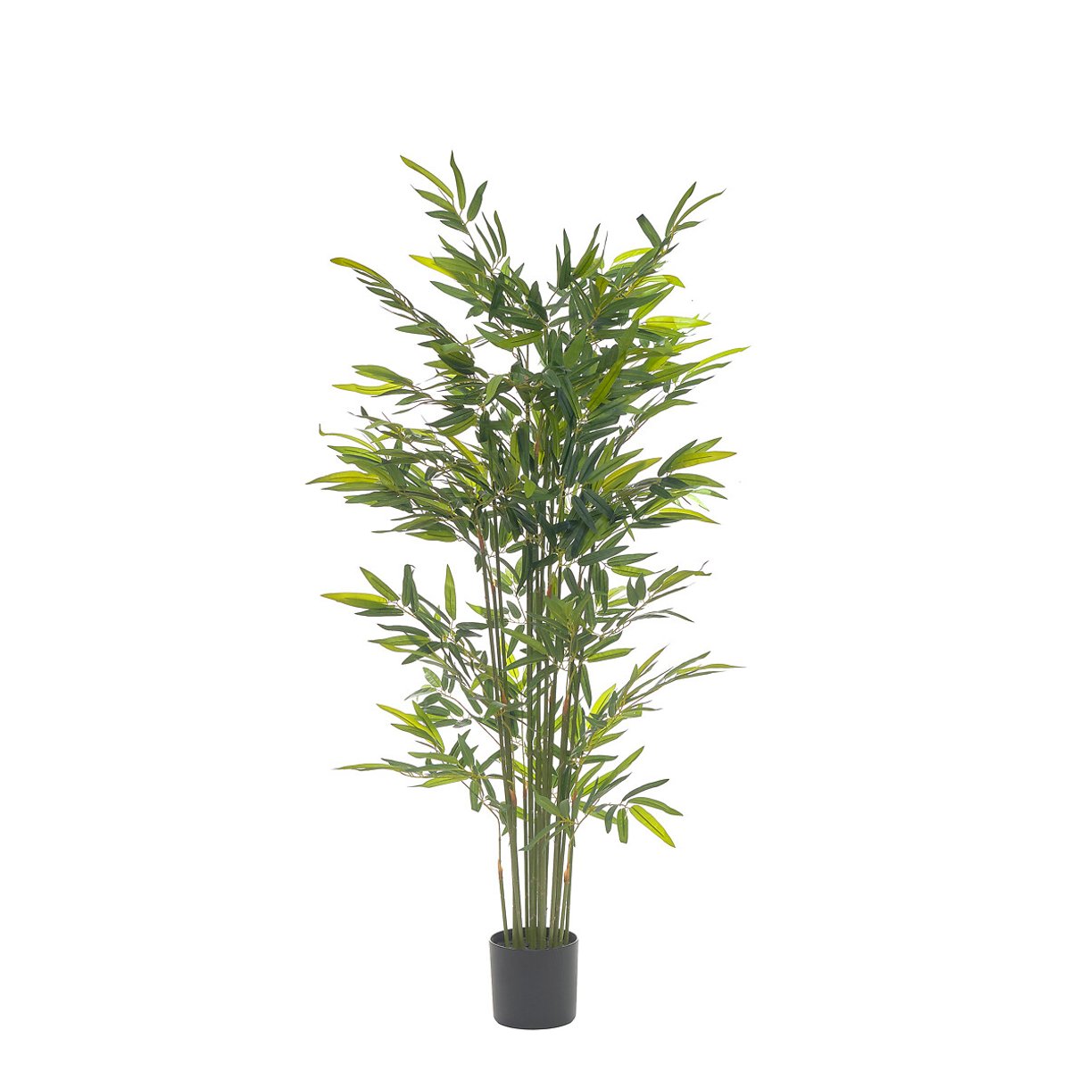 Planta artificial "Bambu" 160cm, BORGHESI verde, BORGHESI