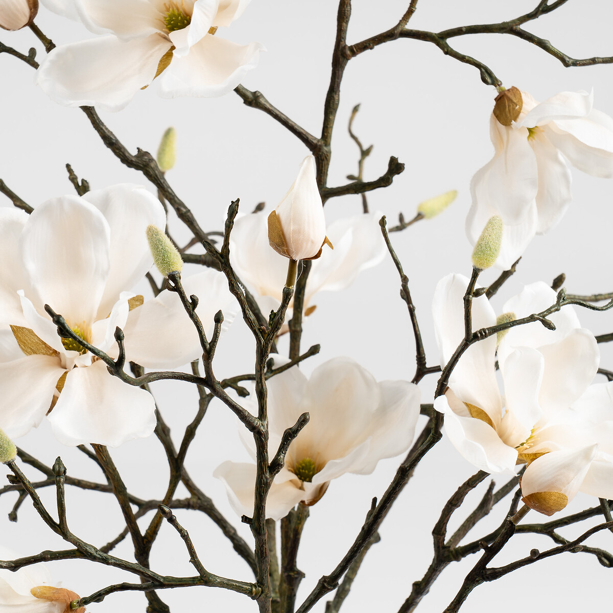 71cm Magnolia In Resin Pot white, SO'HOME