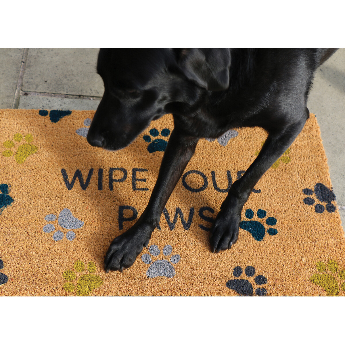 Wipe Your Paws Coir Doormat natural, MY MAT COIR