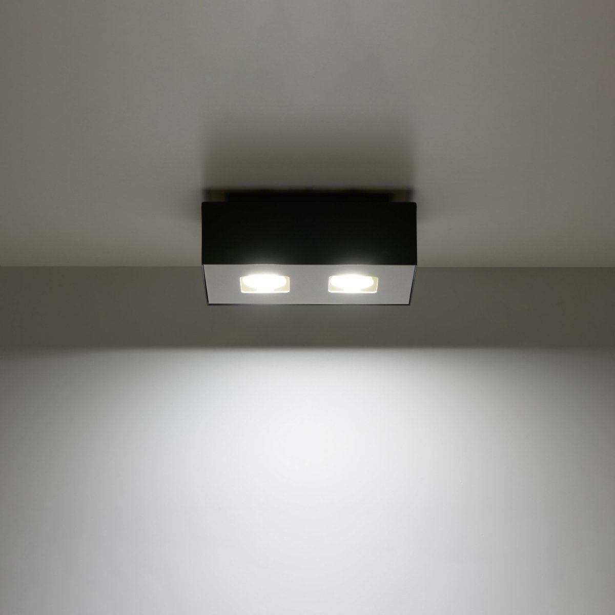 Plafonnier Acier Noir/Blanc GU10 2 Mono noir, EDEN