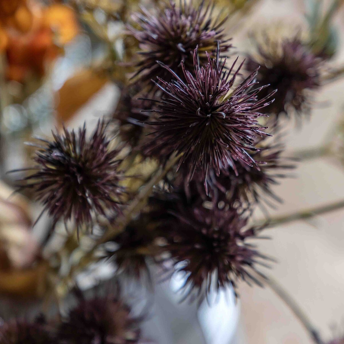 Autumnal Eucalyptus Bouquet orange, ÉDITÉ