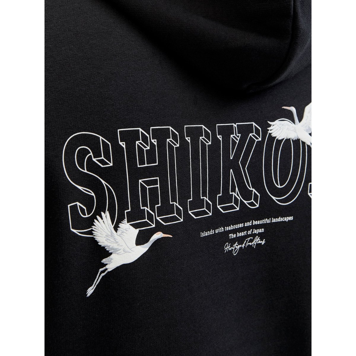 Sweat À Capuche noire - black, JACK & JONES
