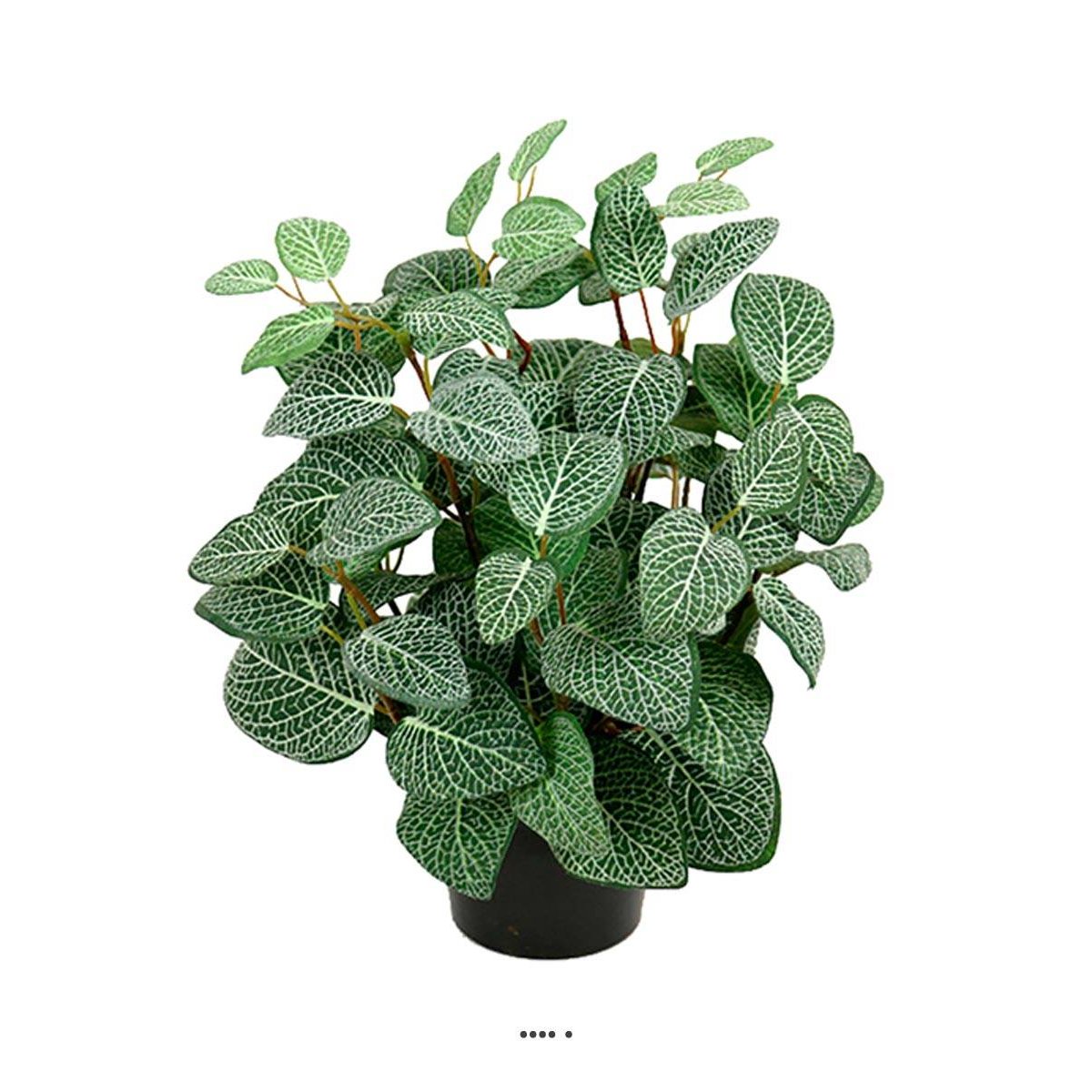 Fitonnia artificiel en pot H 34 cm, D 26 cm v002239, ARTIFICIELLES