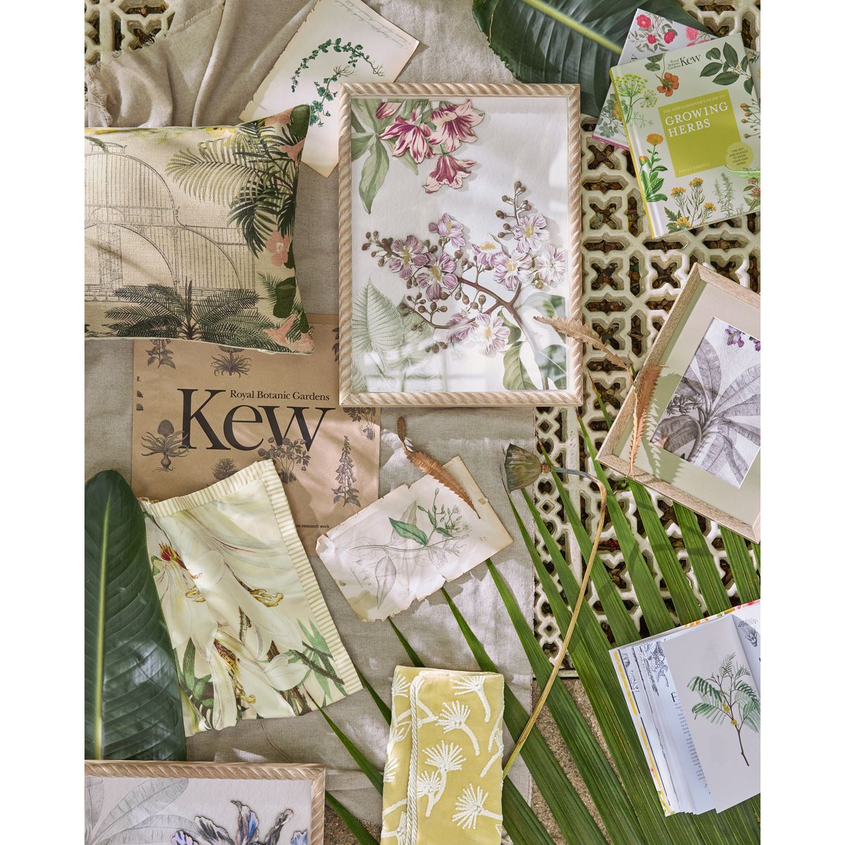 Coussin palmier kew gardens 50 x 30 cm vert, NEXT