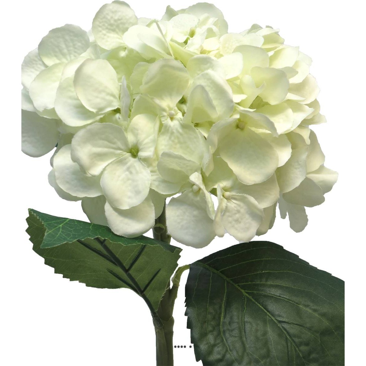 Hortensia artificiel en branche, H 48 cm crème, ARTIFICIELLES