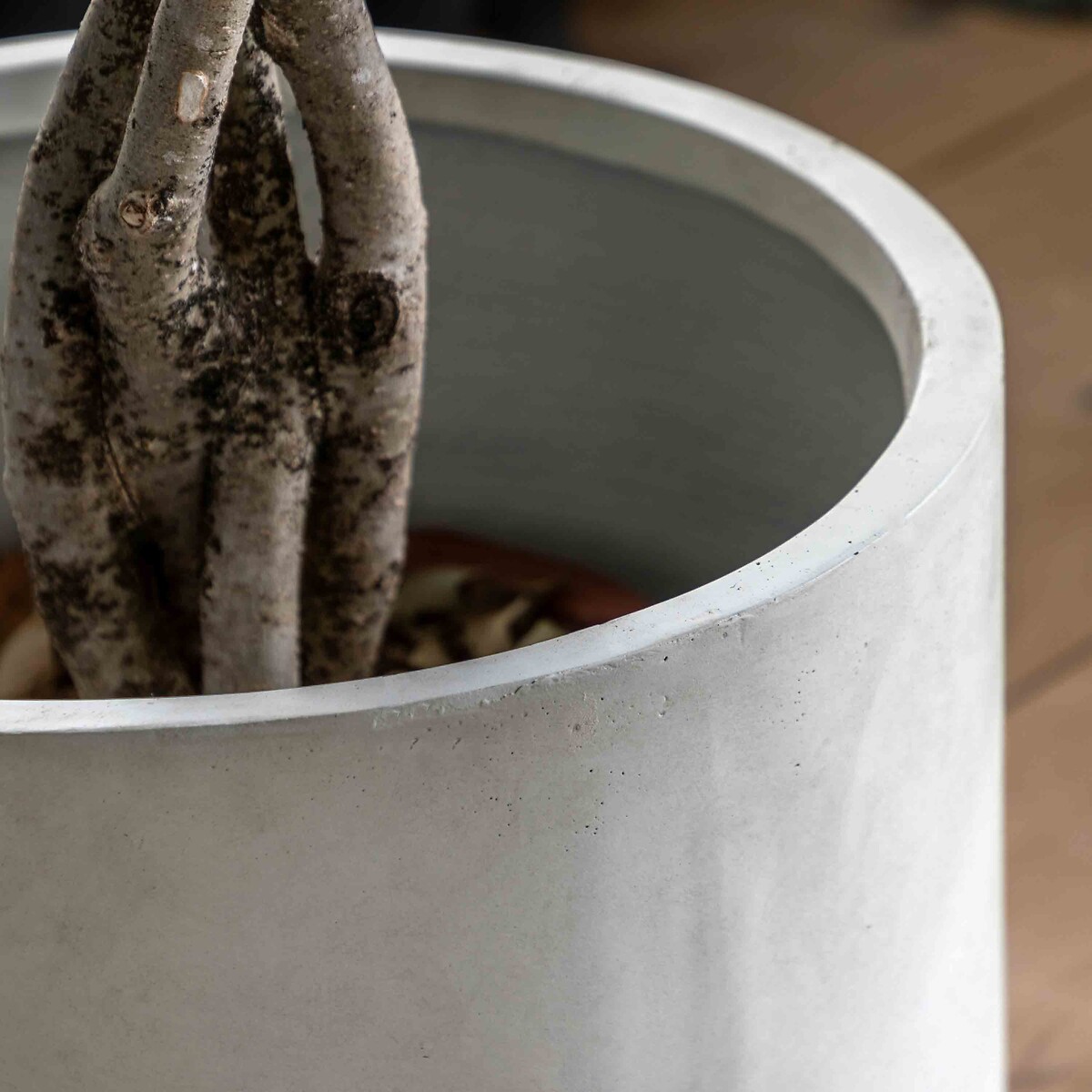 Ortelle Footed Outdoor Planter in White white, ÉDITÉ