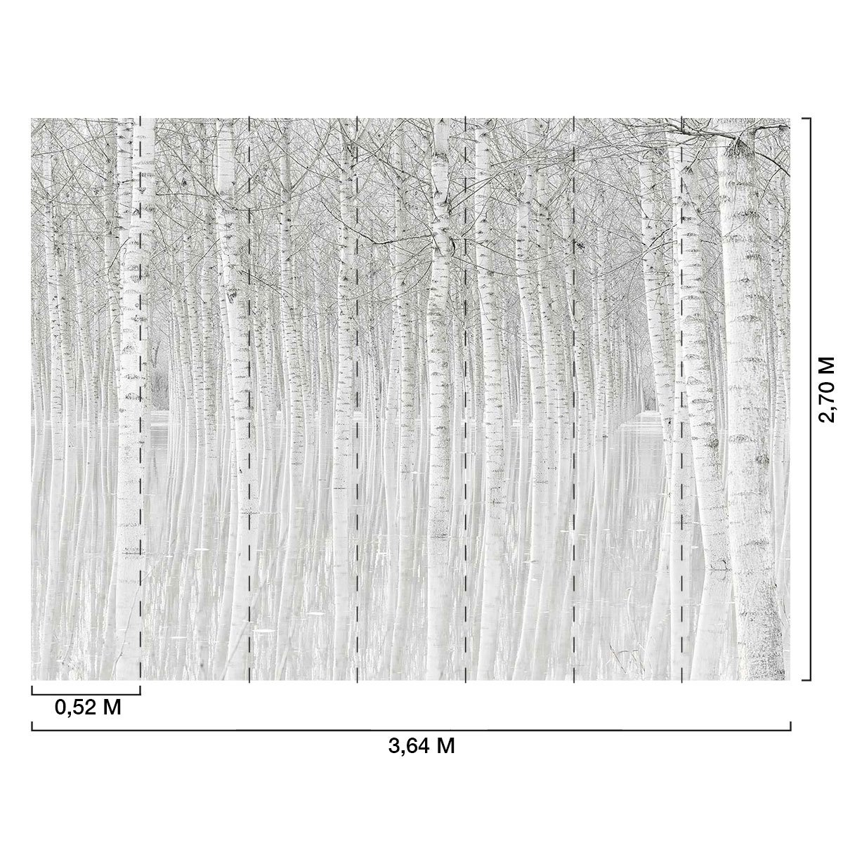 Papier peint panoramique foret de bouleaux intissé, HEXOA