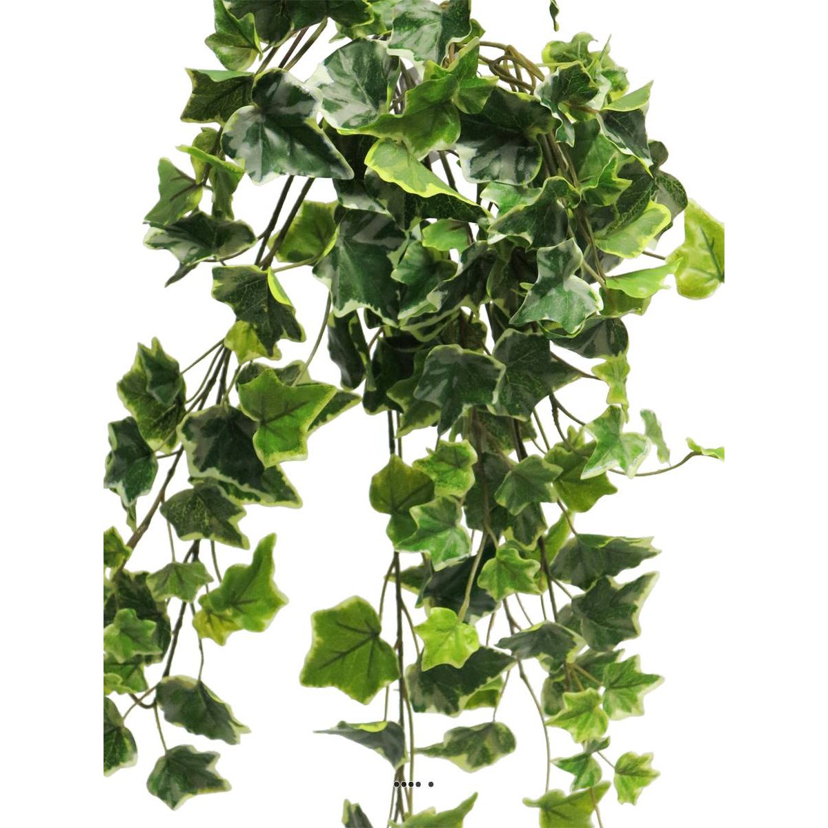 Lierre artificiel en chute, 7 ramures, L blanc-vert, ARTIFICIELLES
