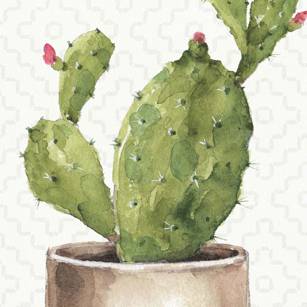 Papier peint exotique cactus en pot intissé, HEXOA