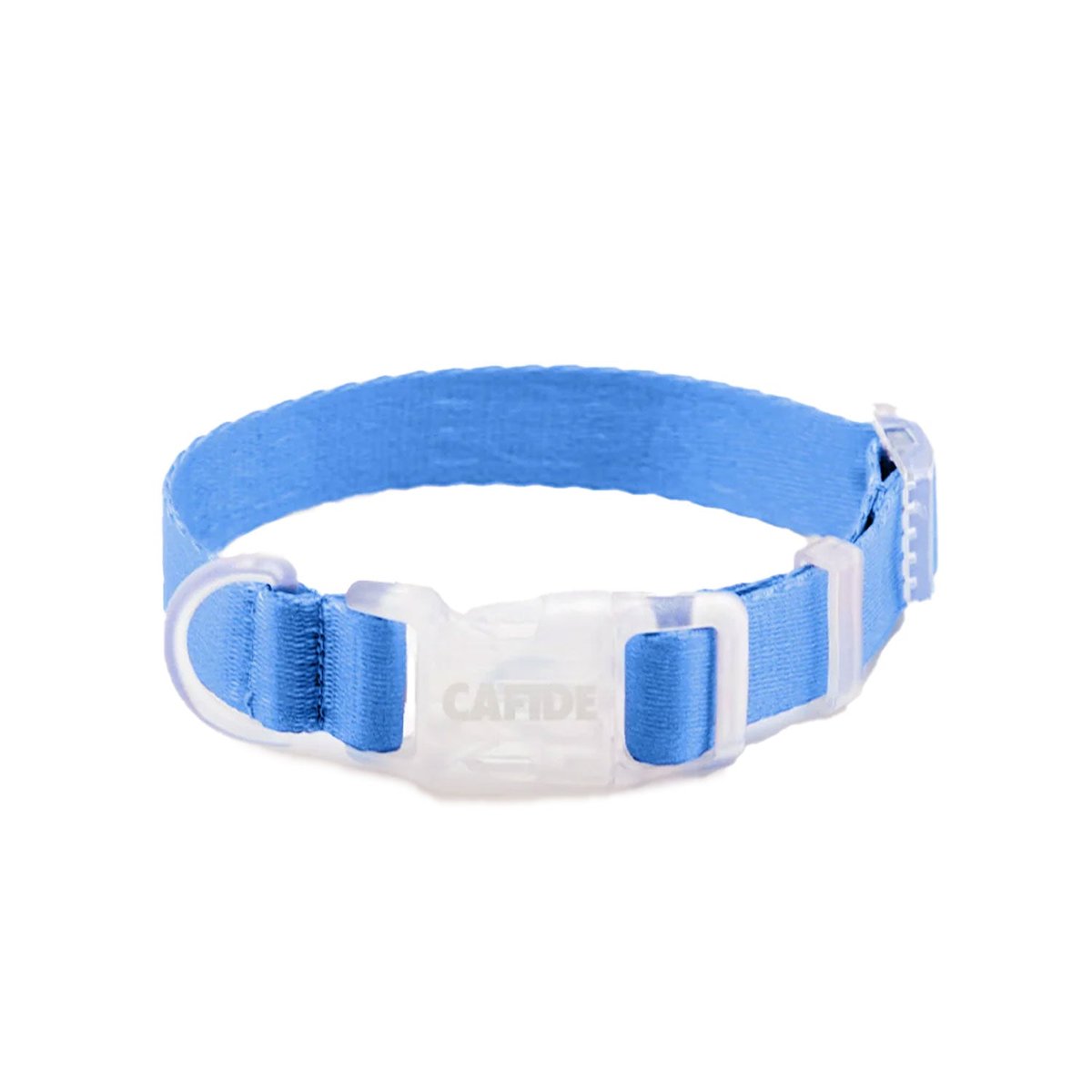 Collier pour chien, ONA bleu, CAFIDE
