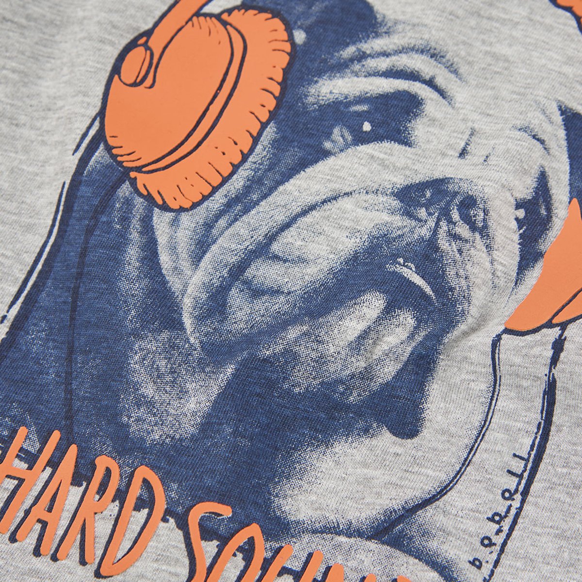 T-shirt maille garçon imprimé chien gris, BOBOLI