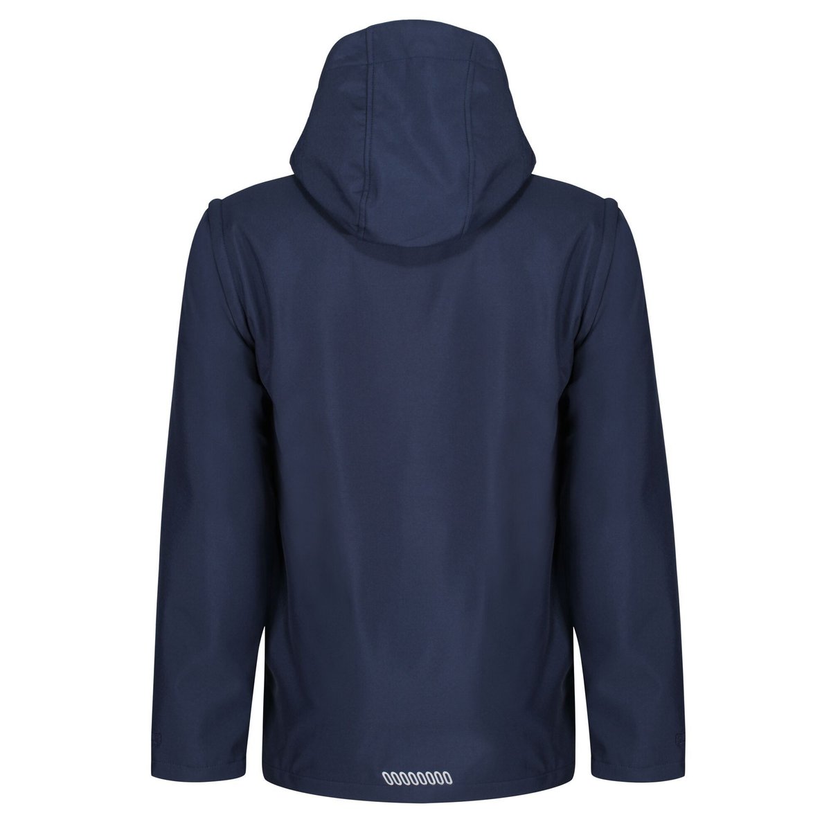 Veste softshell ERASMUS bleu marine, REGATTA