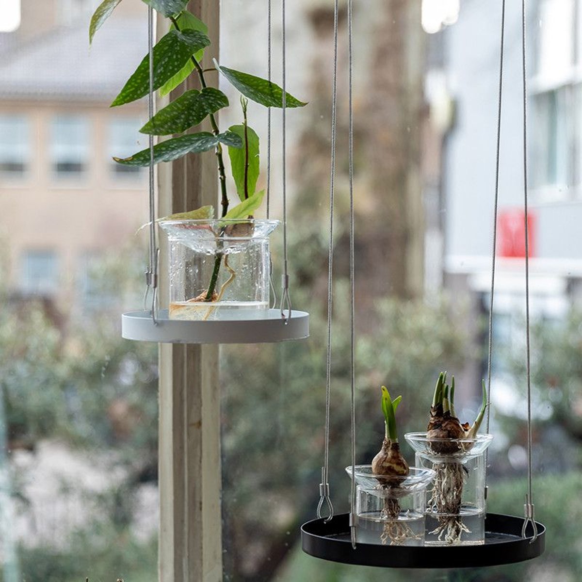 Vase de germination ouvertures multiples couleur unique, ESSCHERT DESIGN