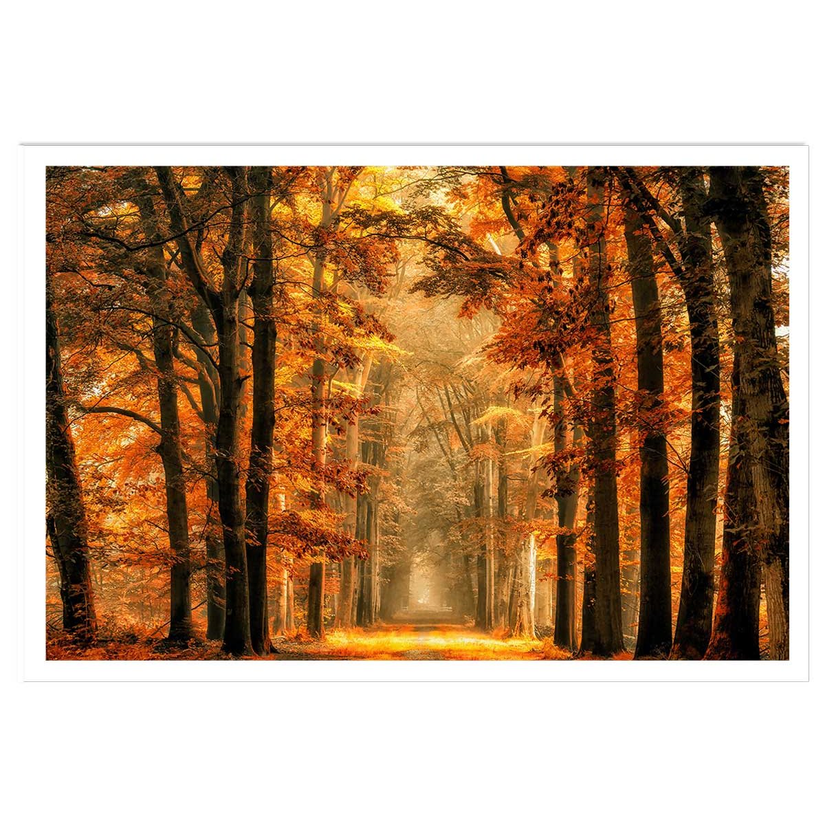 Affiche paysage magie de l' automne affiche seule, HEXOA
