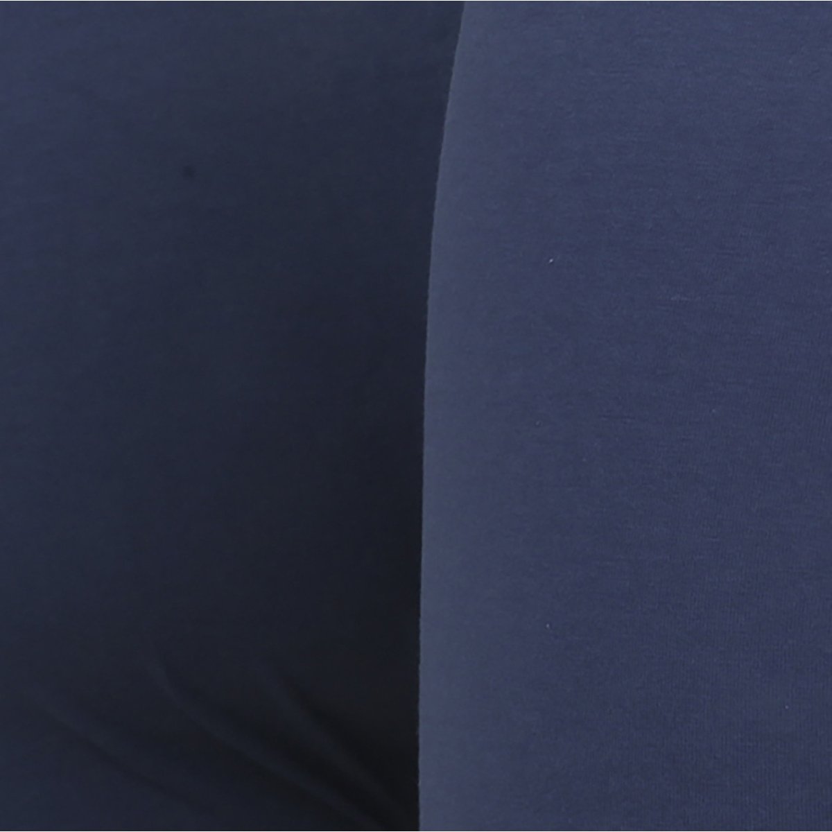 Boxer bleu, CECEBA