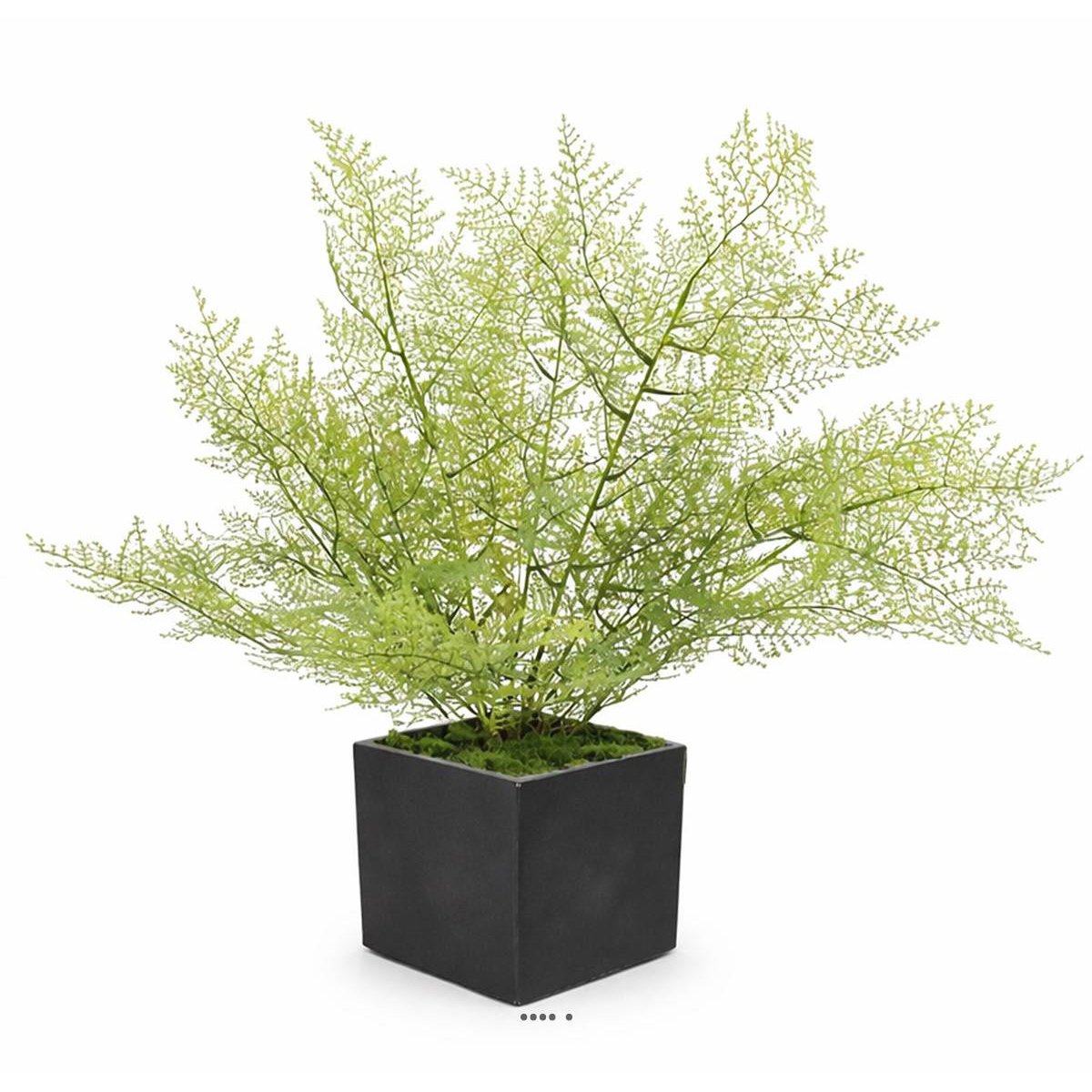 Asparagus artificiel en piquet 50 cm v002239, ARTIFICIELLES