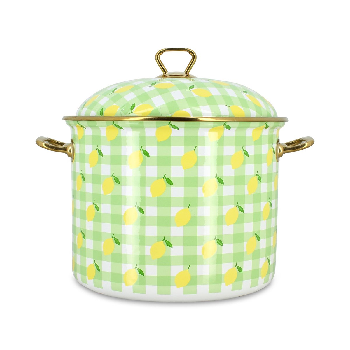 Marmite 24cm en acier émaillé, VICHY CITRON vert, MENASTYL