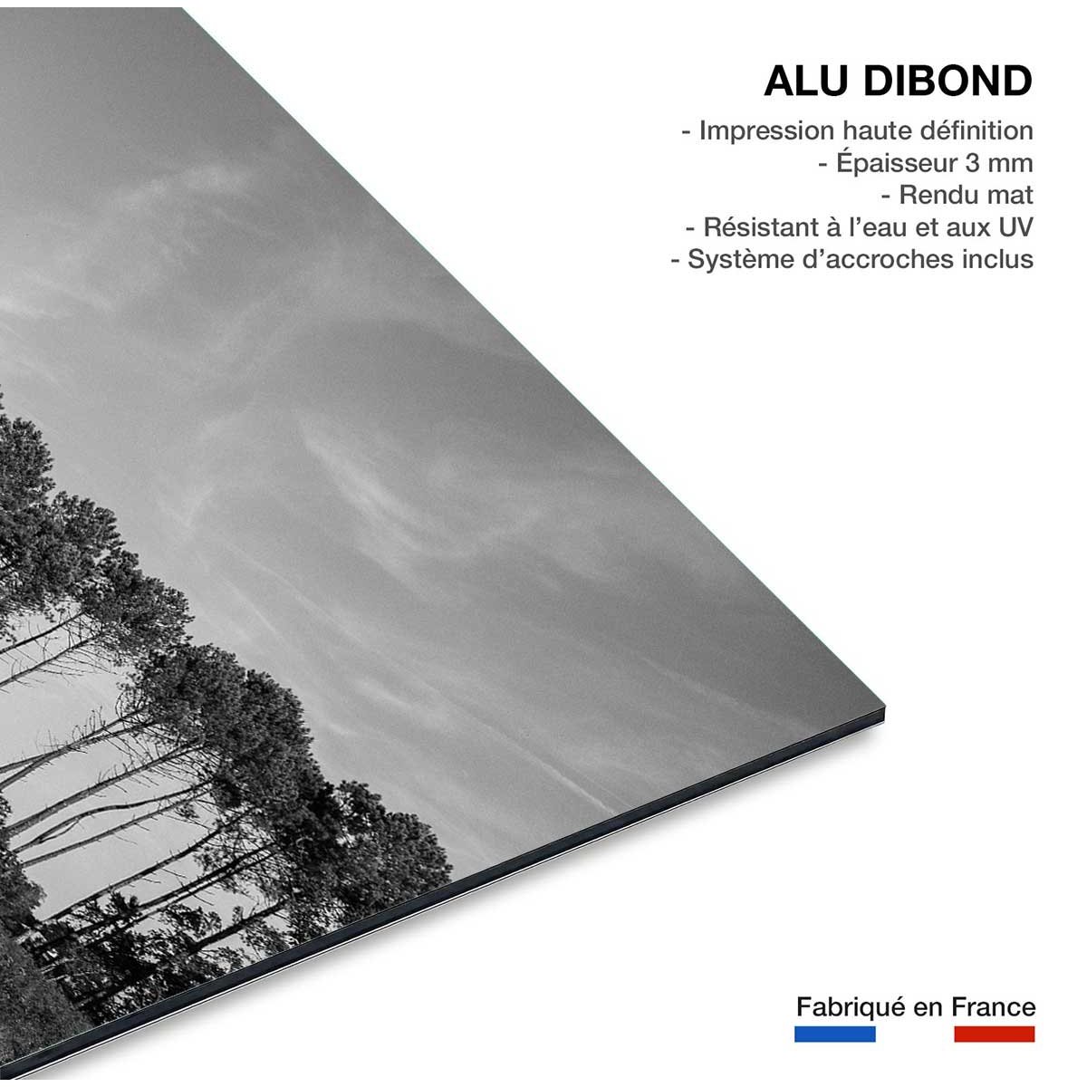 Tableau noir et blanc pinède d' hossegor tableau alu dibond, HEXOA