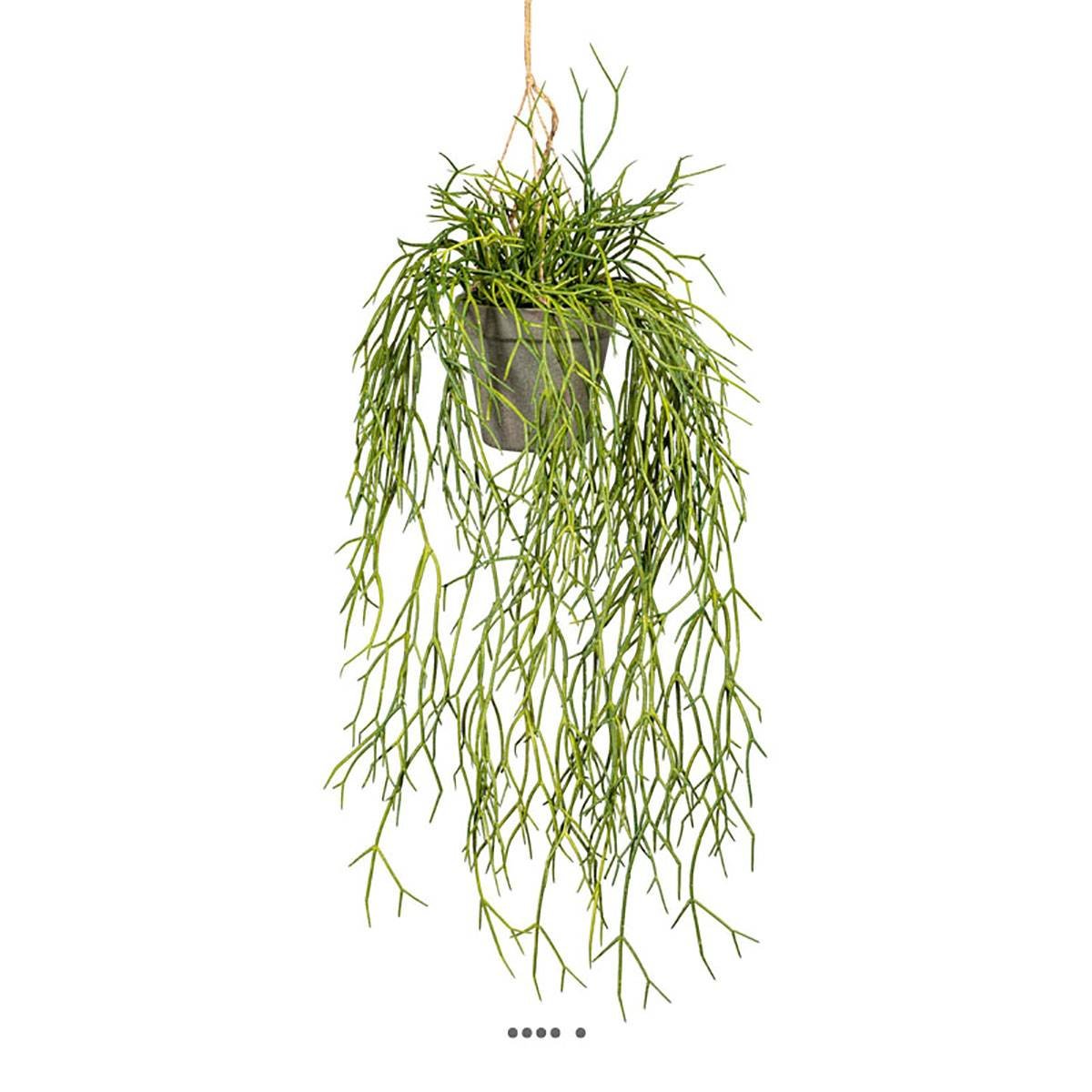 Fausse plante retombante rhipsalis L 60 cm v002239, ARTIFICIELLES