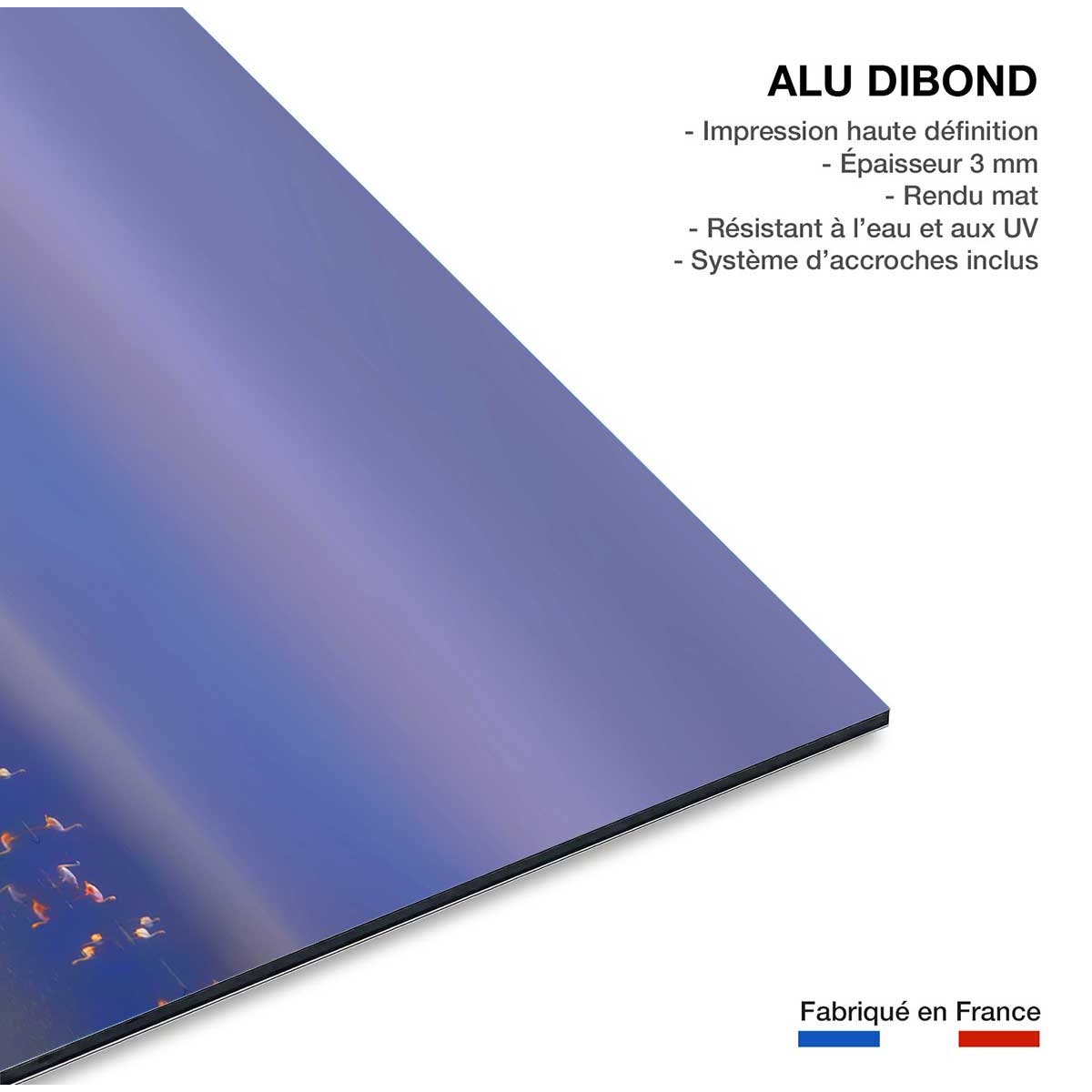 Tableau Flamants Tôt le matin tableau alu dibond, HEXOA