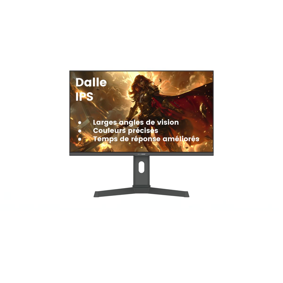 Ecran PC Gamer M27 27" QHD 200Hz Fast IPS HDMI 2.1 AMD FreeSync couleur unique, SKILLKORP