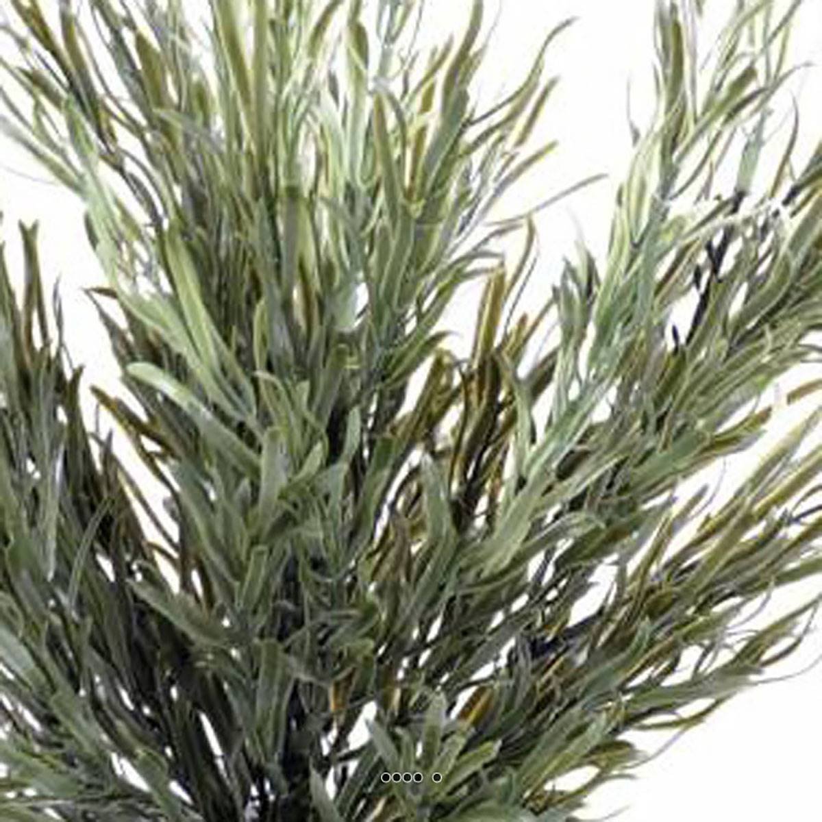 Podocarpus artificiel en piquet v002239, ARTIFICIELLES