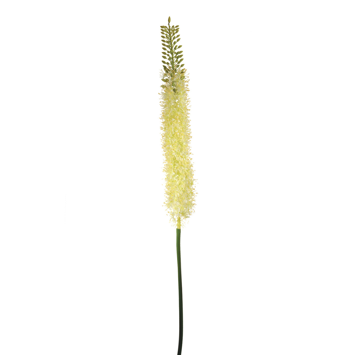 Tige de lis des steppes artificielle H125 blanc, SIA DECO
