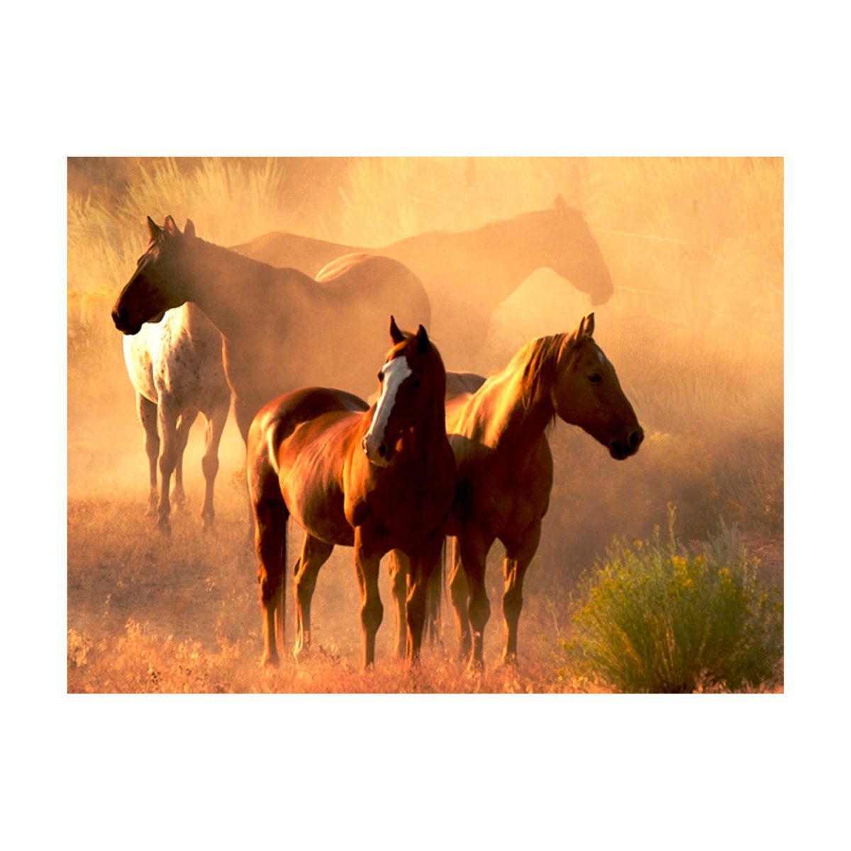 Papier peint intissé panoramique Animaux Chevaux sauvages en pleine steppe beige, EDEN