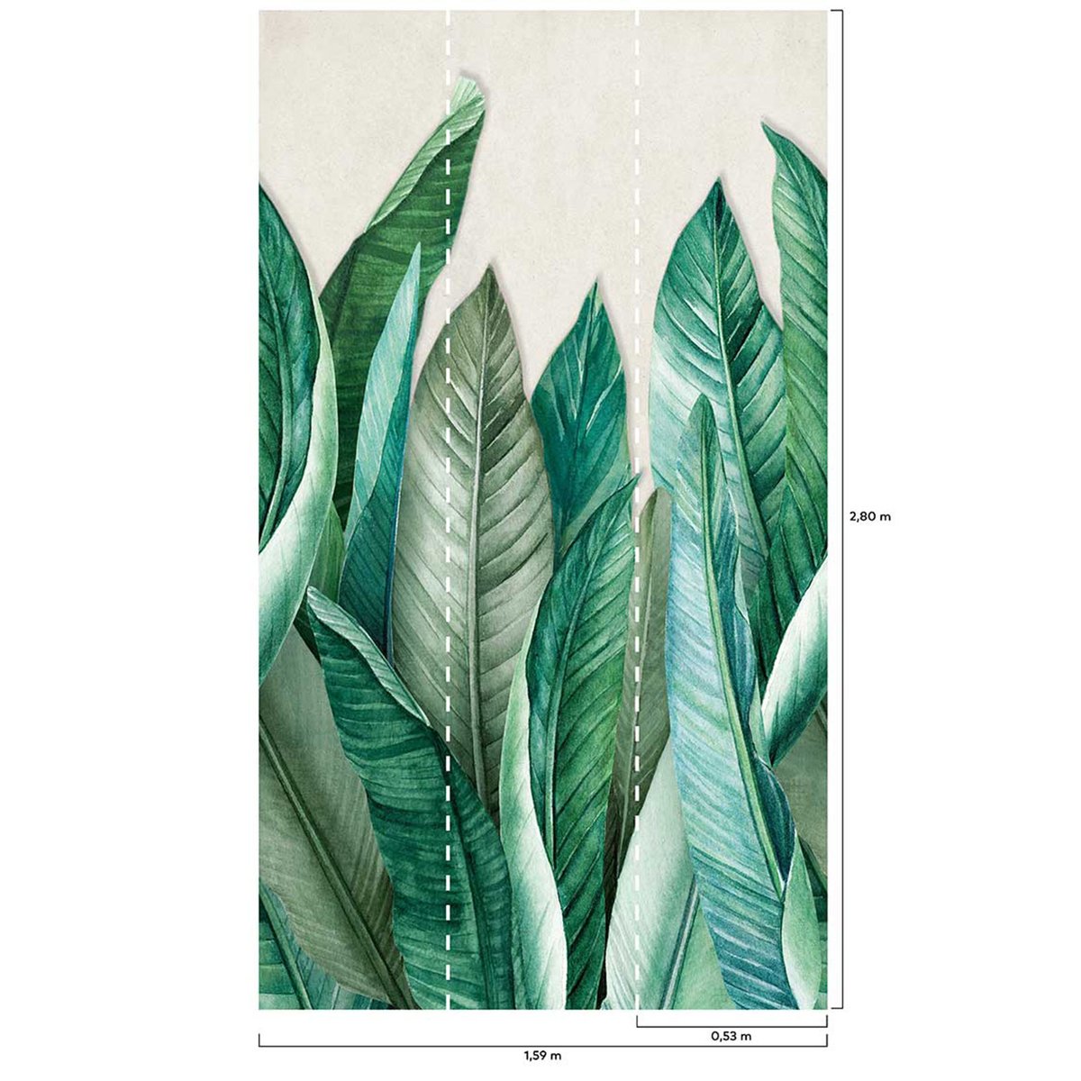 Papier peint feuilles de bananier vert, HEXOA