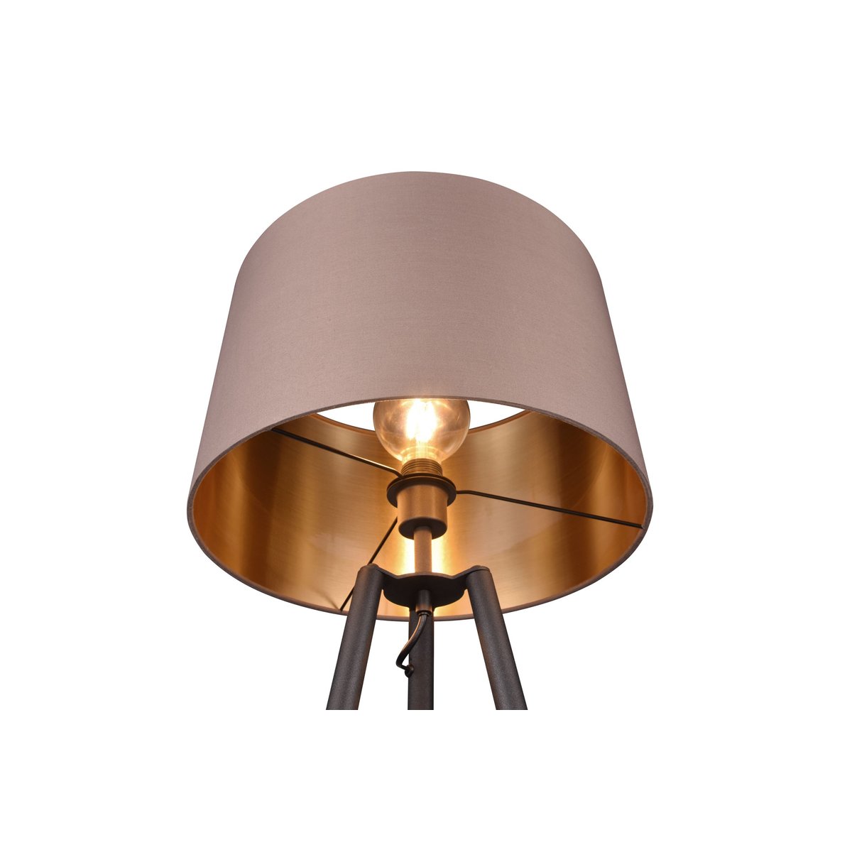 Lampadaire design en métal, COLETTE noir, TRIO