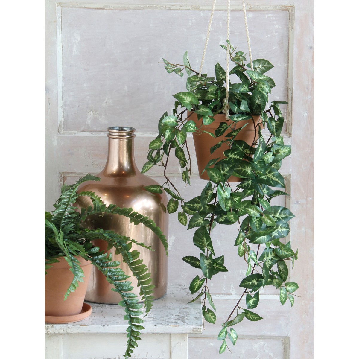 Plante artificielle FITTONIA vert, MICA DECORATIONS