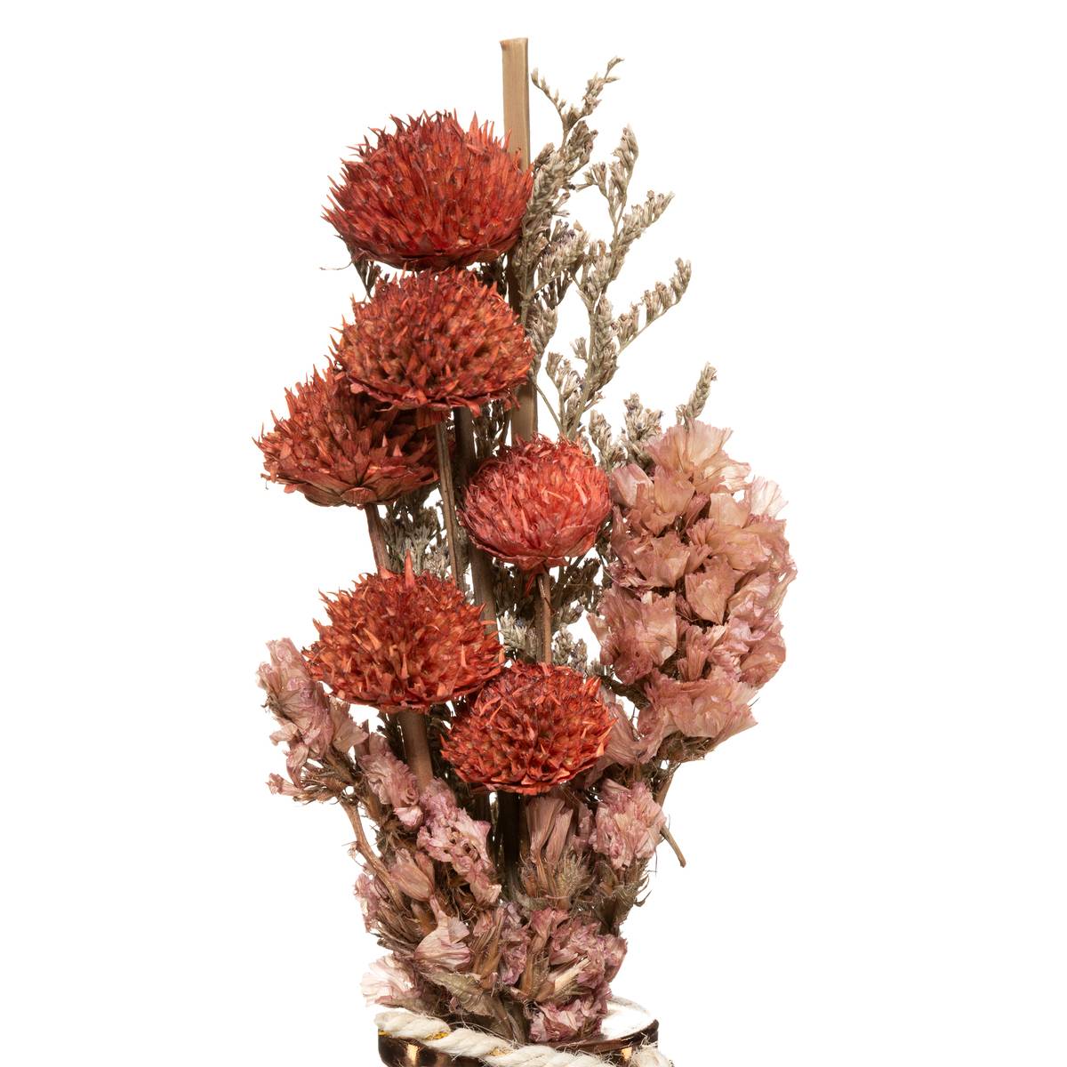 Bouquet de fleurs séchées WONDER rouge, ATMOSPHERA