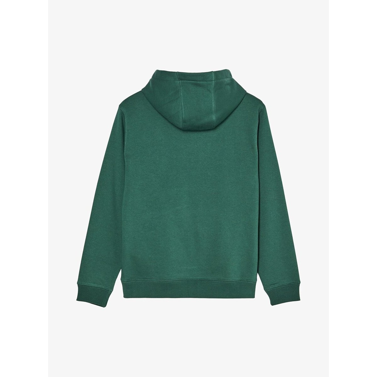 Brushed Fleece Hoodie green, QUIKSILVER
