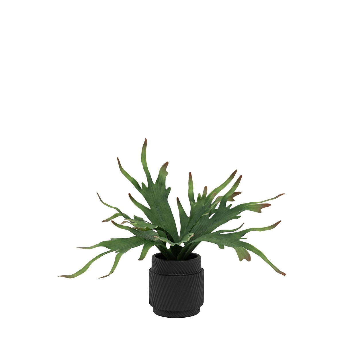 38cm Faux Multi-Colour Playycerium in Ceramic Pot multi-coloured, ÉDITÉ