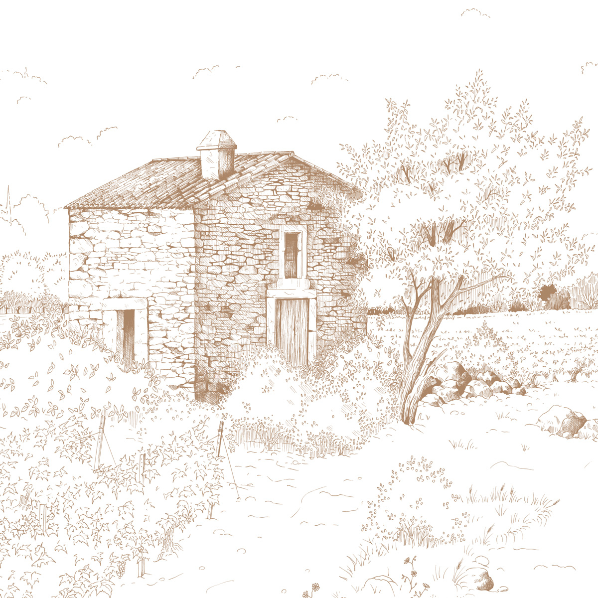 Papier peint Promenade dans les vignes, Vert 225 x 250cm brun, ACTE DECO