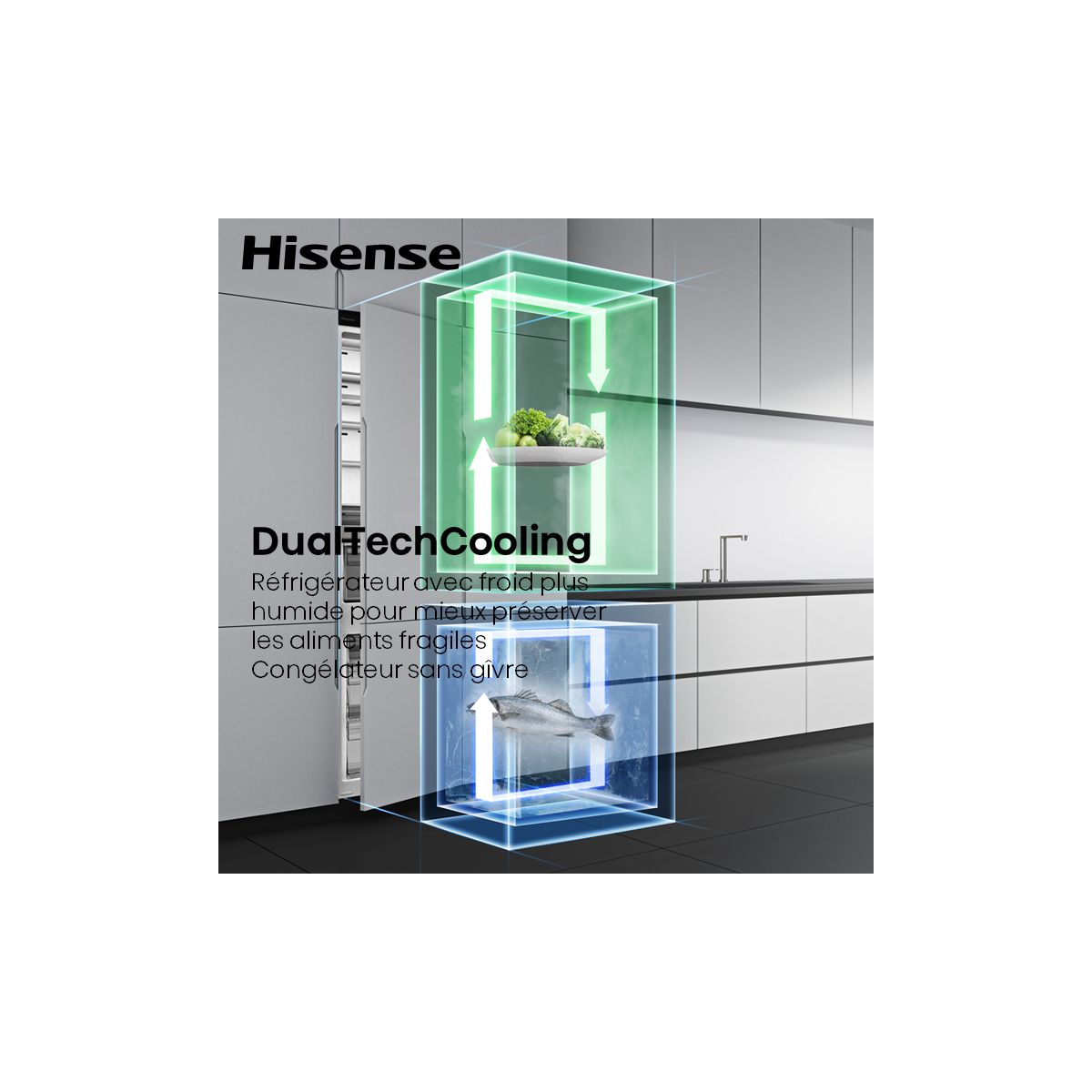 Réfrigérateur combiné encastrable RB3B250SAWE couleur unique, HISENSE