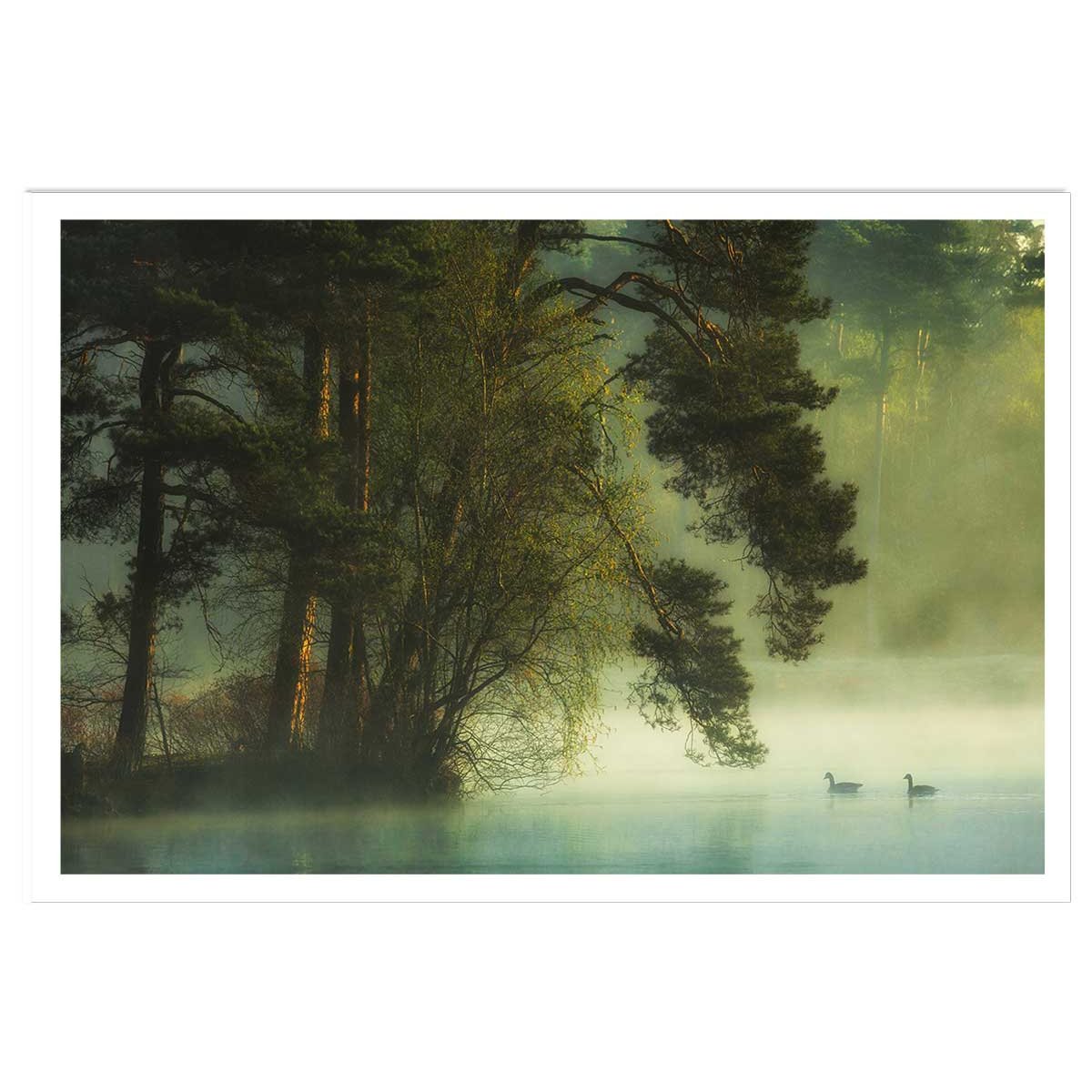 Affiche paysage marais neerlandais affiche seule, HEXOA