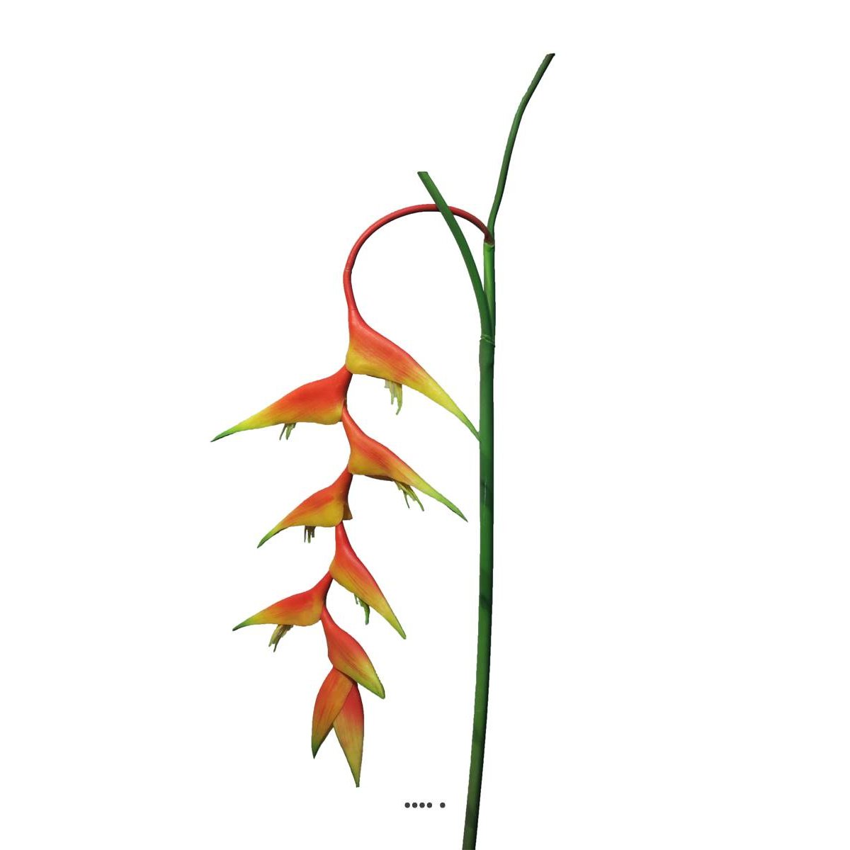 Branche d’Heliconia des Caraibes artifi v002239, ARTIFICIELLES