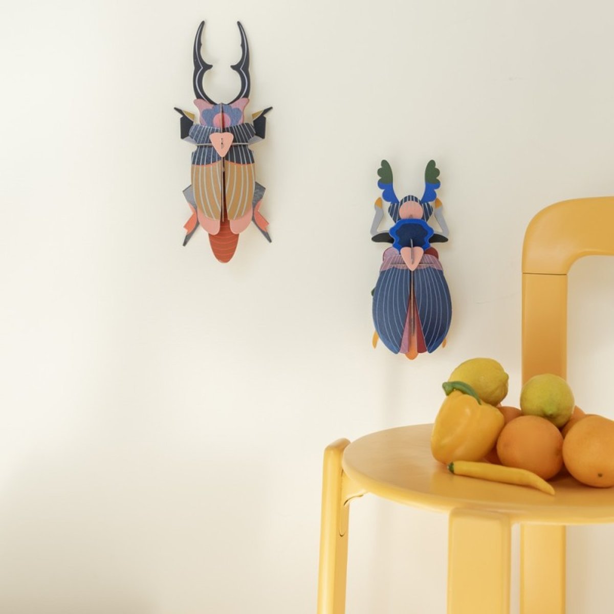 Décoration murale scarabée doryphore Giant Stag Beetle marron, STUDIO ROOF