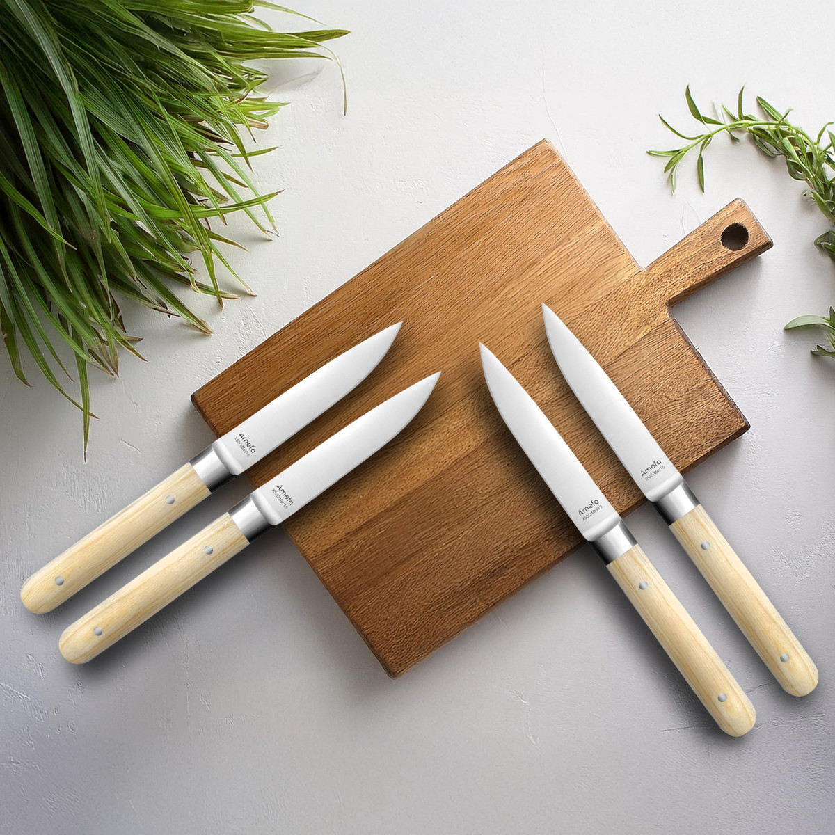 Coffret 4 couteaux steak - FUSION hêtre, AMEFA