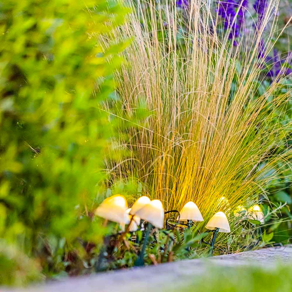 Lot de 10 mini champignons solaires CHAMPY blanc, LUMISKY