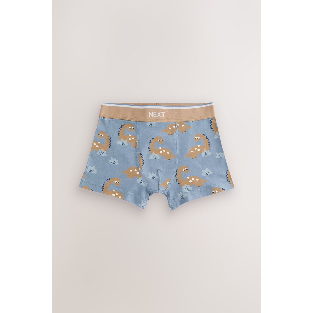 Boxer, lot de 5 dino bleu/marron, NEXT